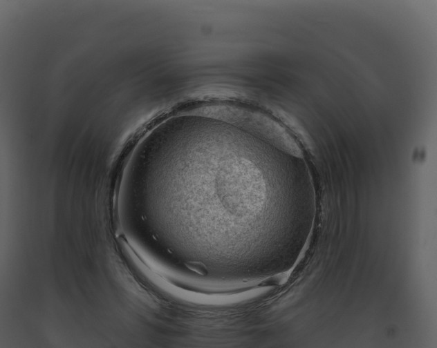 X0000093480399200710191211