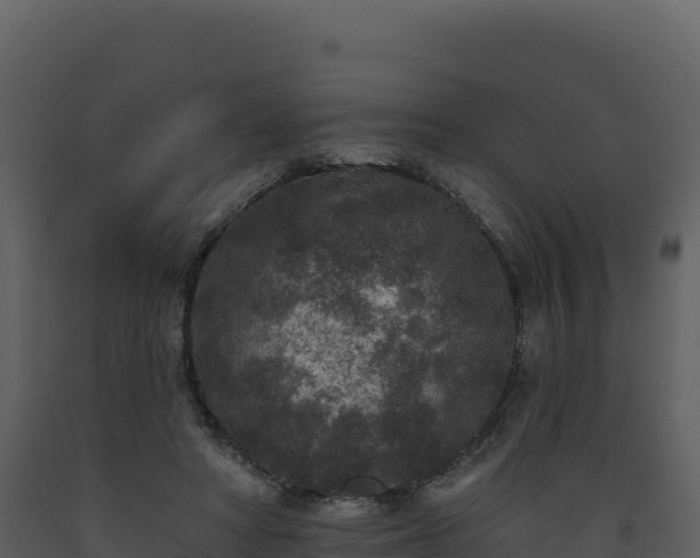 X0000093480402200710191211