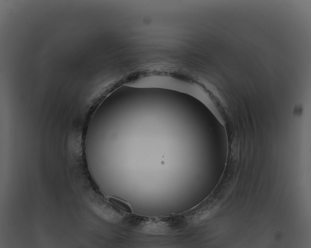 X0000093480403200710191211