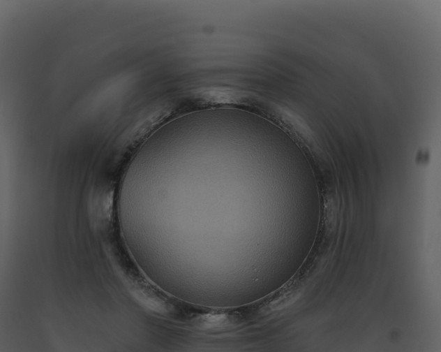 X0000093480406200710191211