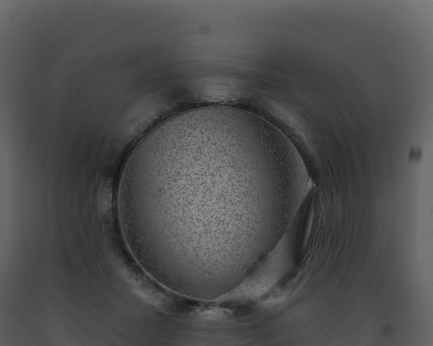 X0000093480407200710191211