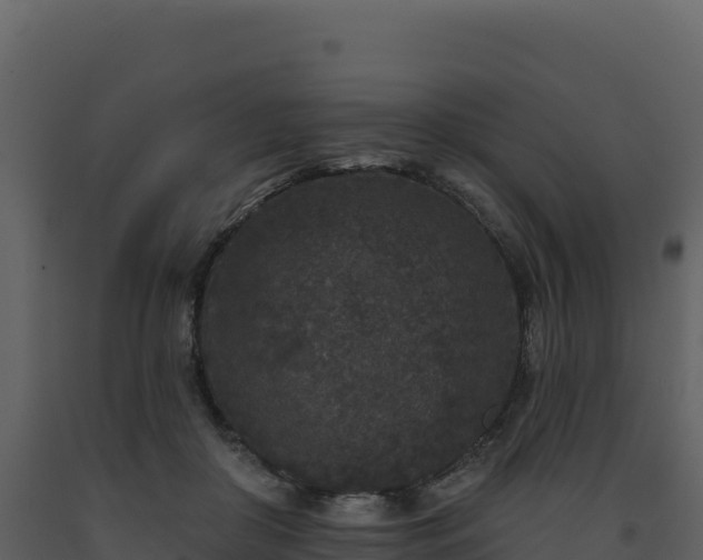 X0000093480410200710191211