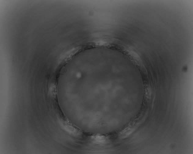 X0000093480419200710191210