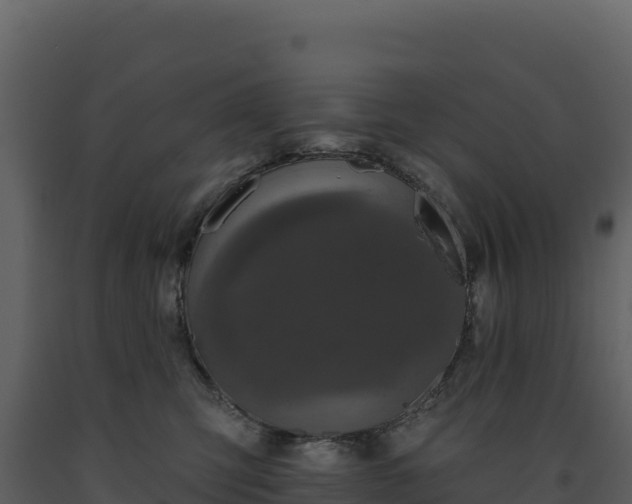 X0000093480423200710191210