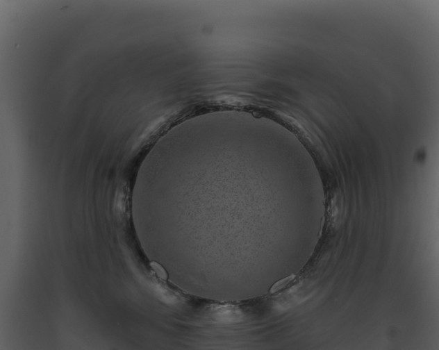 X0000093480424200710191210