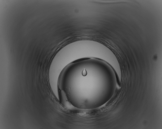 X0000093480425200710191210