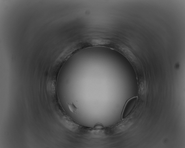 X0000093480426200710191210