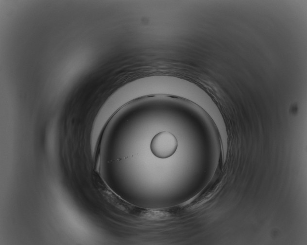 X0000093480429200710191210