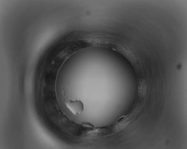 X0000093480430200710191210