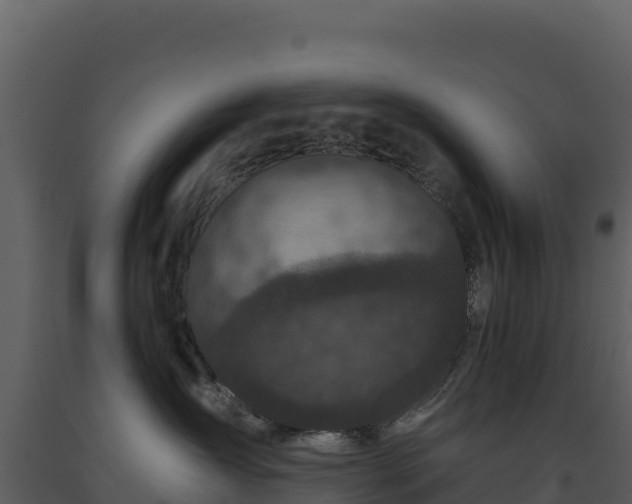 X0000093480431200710191210