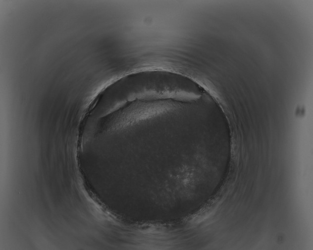 X0000093480434200710191209