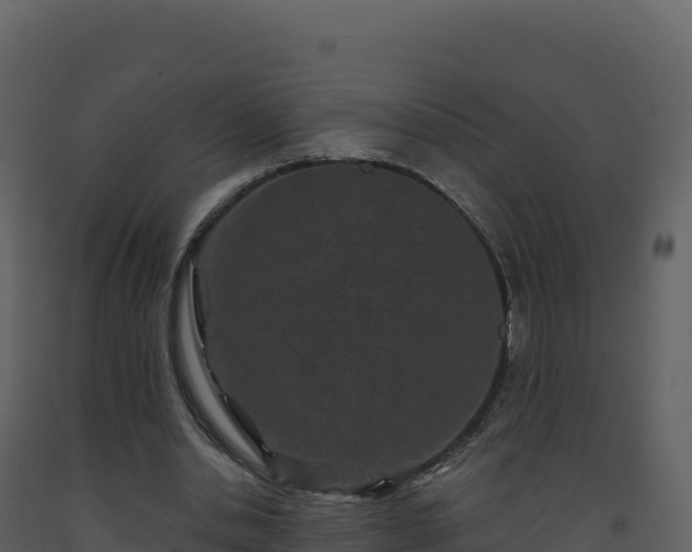 X0000093480438200710191209