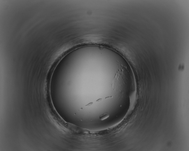 X0000093480439200710191209