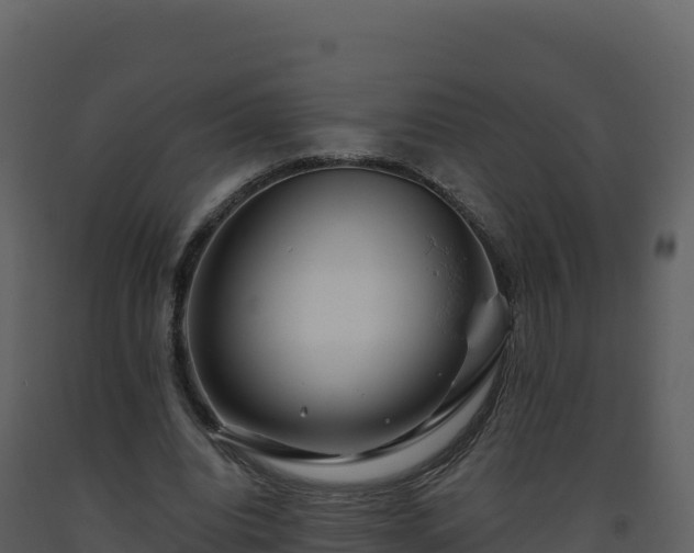 X0000093480440200710191209