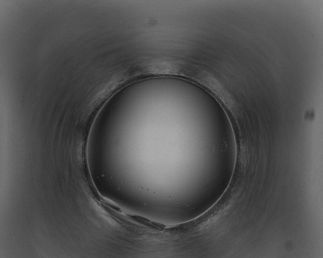 X0000093480441200710191209