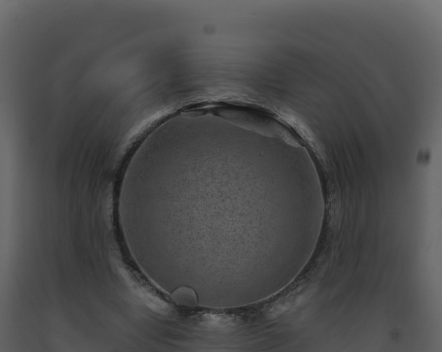 X0000093480442200710191209