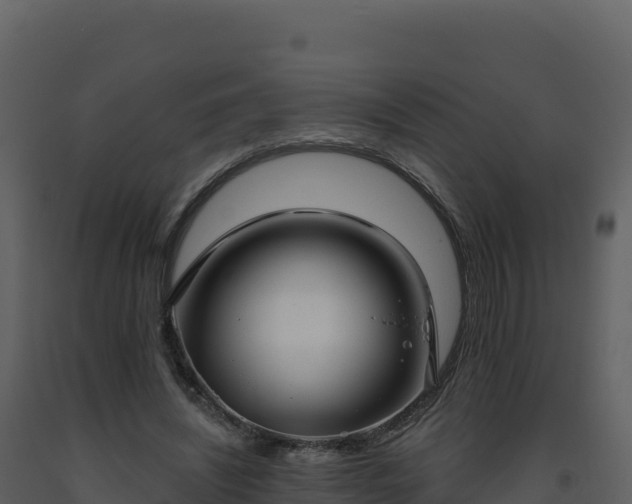 X0000093480444200710191210