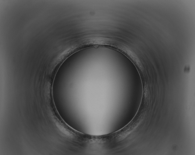X0000093480445200710191210