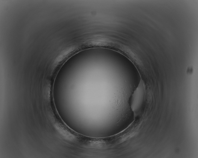 X0000093480446200710191210