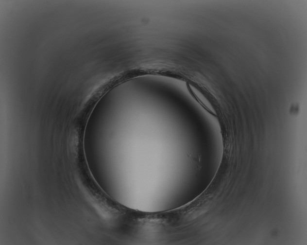 X0000093480448200710191210