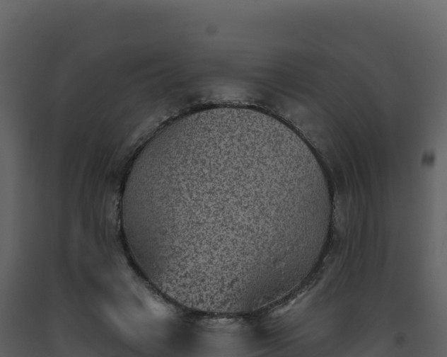 X0000093480449200710191210