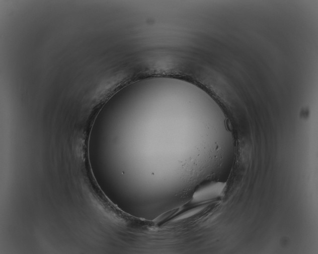 X0000093480450200710191210