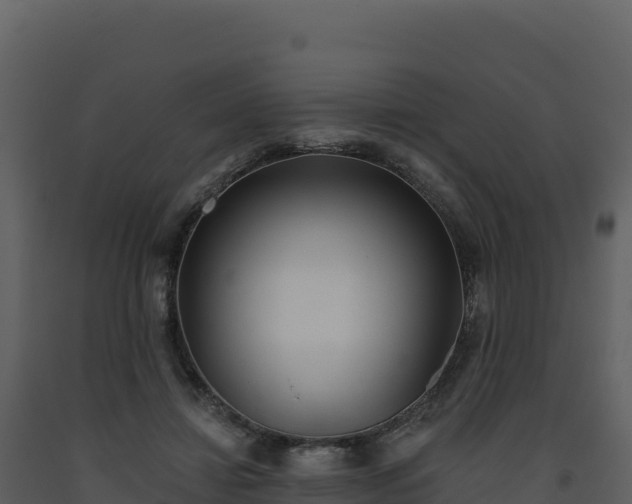 X0000093480452200710191210