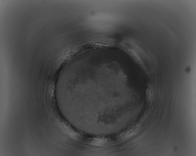X0000093480458200710191210