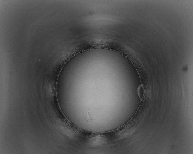 X0000093480460200710191210