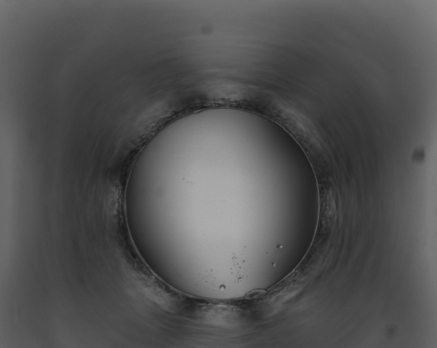 X0000093480463200710191210