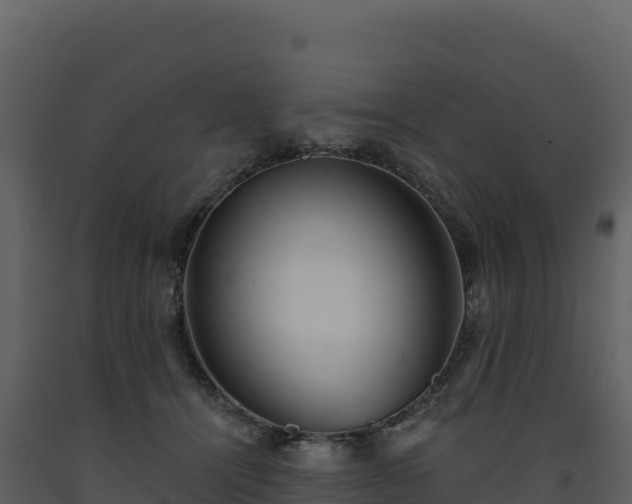 X0000093480464200710191210
