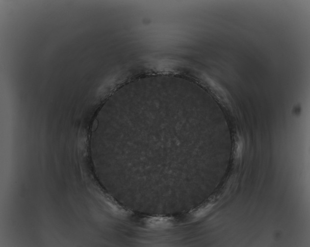X0000093480465200710191210