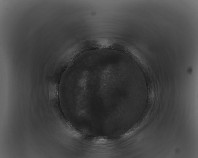 X0000093480467200710191210