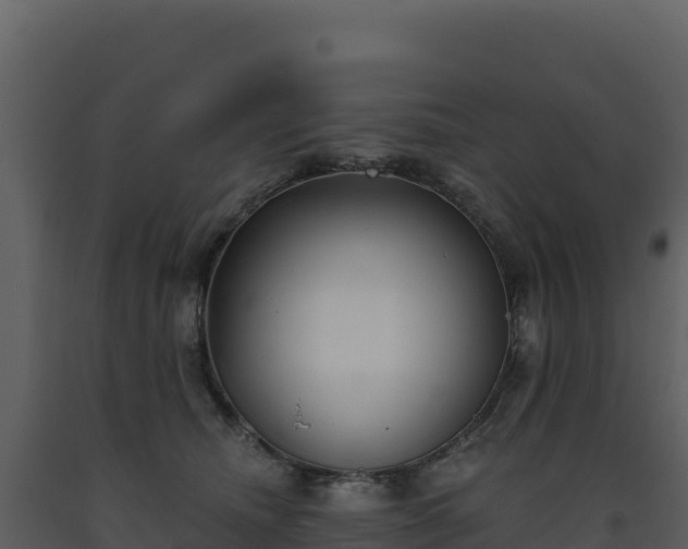 X0000093480468200710191210