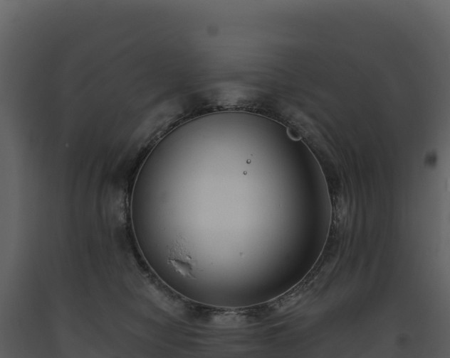 X0000093480470200710191210