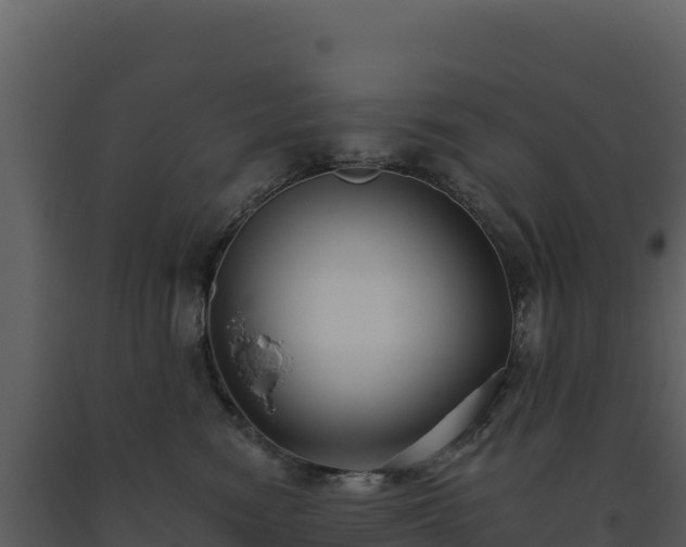 X0000093480474200710191210