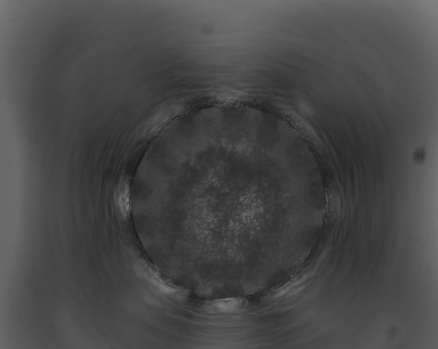 X0000093480479200710191210