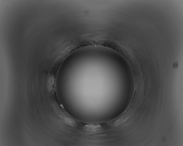 X0000093480480200710191210
