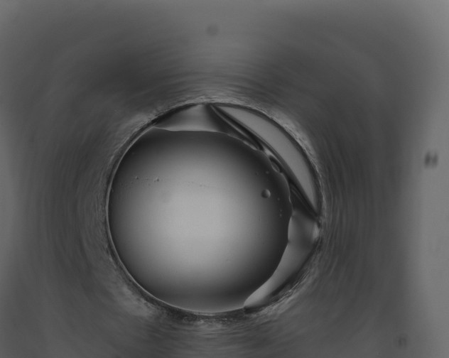 X0000093480481200710191209