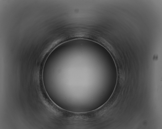 X0000093480482200710191209