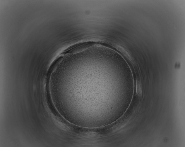 X0000093480483200710191209