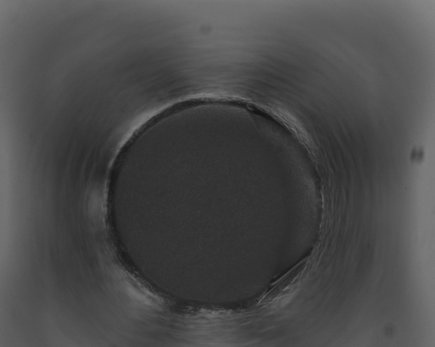 X0000093480484200710191209