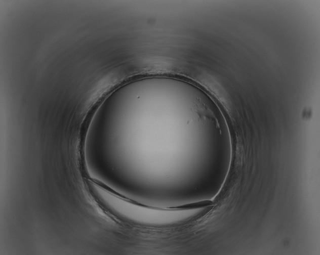 X0000093480485200710191209