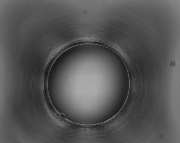 X0000093480486200710191209