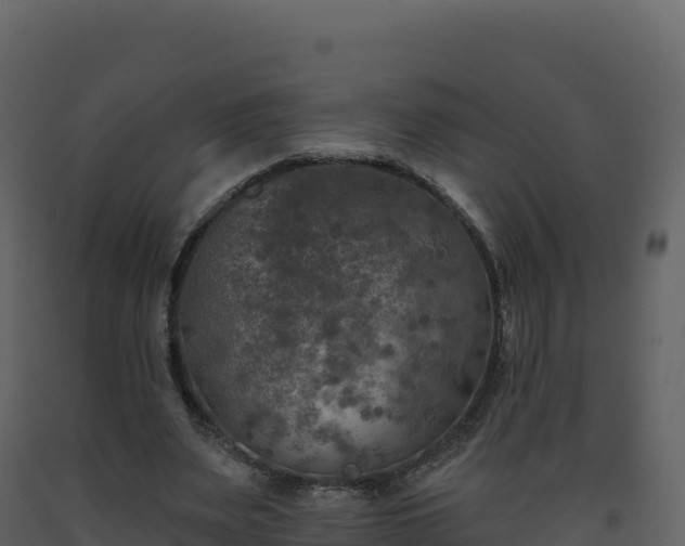 X0000093480487200710191209