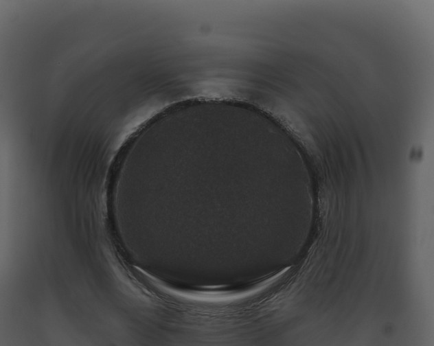 X0000093480488200710191209