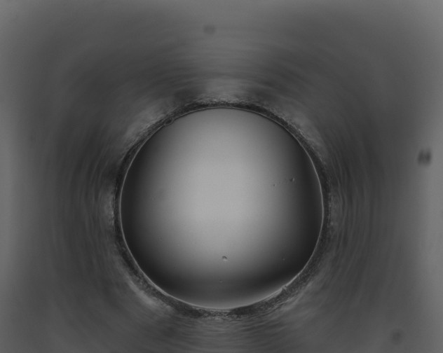 X0000093480489200710191209