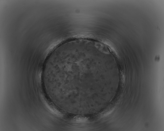 X0000093480491200710191209