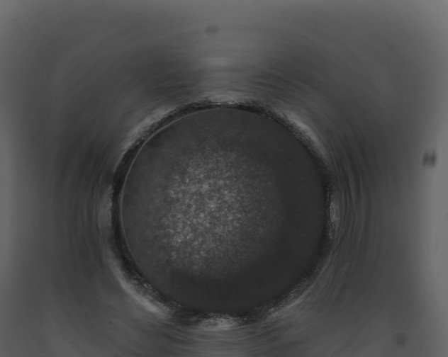 X0000093480492200710191209