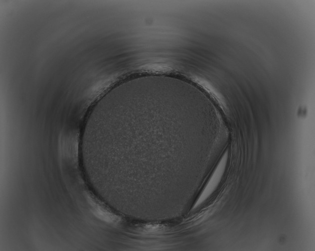X0000093480493200710191209